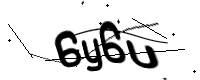 captcha_img
