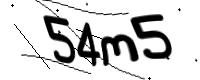 captcha_img