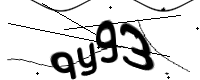 captcha_img