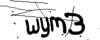 captcha_img